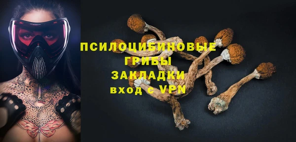 спиды Козловка