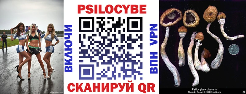 Псилоцибиновые грибы MAGIC MUSHROOMS  Купить  Десногорск 